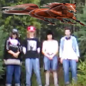 itfeelsliketheresahorseinhere.