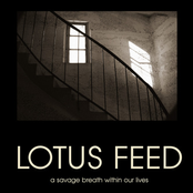 King For Two Days by Lotus Feed