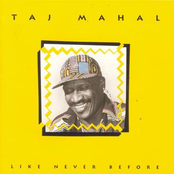 Love Up by Taj Mahal