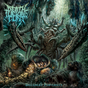 Decadent Perversity (Brutal/Technical Death Metal)