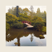 Beach Vacation: I Fell Apart