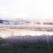 daydream