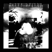 The Strange Wonders Of The Flesh