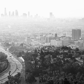 Sounds from the Late Fall