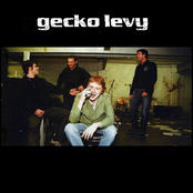 Gecko Levy