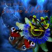 The Many Trails of...