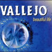 Beautiful Life by Vallejo