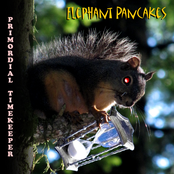 Primordial Timekeeper