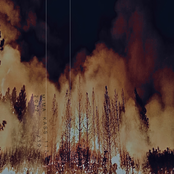 Not Long for This World