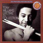 What You Do To Me by Tony Williams