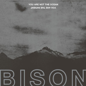 Bison: You Are Not the Ocean You Are the Patient