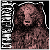 The Bear