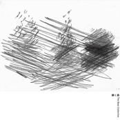 瞬く森 （Matataku Mori）