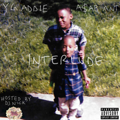 The Interlude