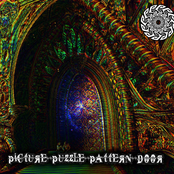 Picture Puzzle Pattern Door