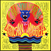 Can’t You Hear Me? 70's African Nuggets & Garage Rock from Nigeria, Zambia, and Zimbabwe