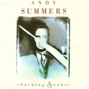 Charming Snakes by Andy Summers