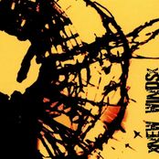 A Spririt Filled Revolution