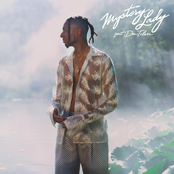 Mystery Lady - Single