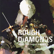 Rough Diamonds: Rough Trade Singles Club Vol. 1