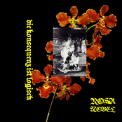 Die Konsequenz ist logisch