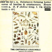 Chitinous (Remastered)