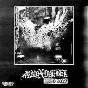 Demo 2019