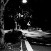 Noise As Ultimate Reality