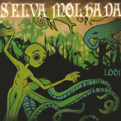 Loom: Selva Molhada