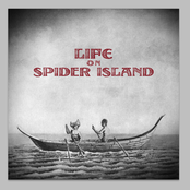 Life On Spider Island