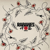 Los Rabanes: Kamikaze