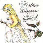 Feathers Disperse Type A