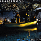 echo & the bunnymen