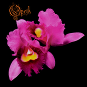 Forest Of October by Opeth