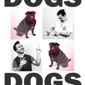 Dogs