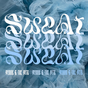Sweat - Single