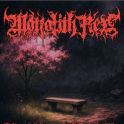 A peaceful corner in a dreadful place