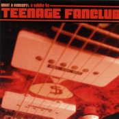 What A Concept!: A Salute To Teenage Fanclub