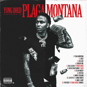 Plaga Montana
