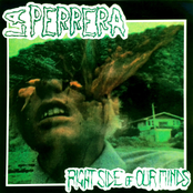 Right Side Of Our Minds