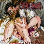 Hungry Asses/The Carnage Can't Be Stopped