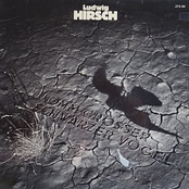 Komm großer schwarzer Vogel