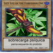 perna esquerda do proibído