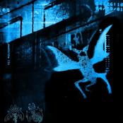 Glass Beach: the CIA