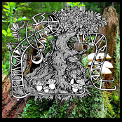 Flyagaric Forest - Ar Var Alda