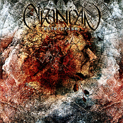 Moving Panorama by Cronian