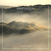 432 Hz The Path of Life