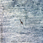 Burning giraffes at Sea