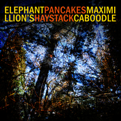 Maximillion's Haystack Caboodle