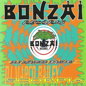 20 years bonzai